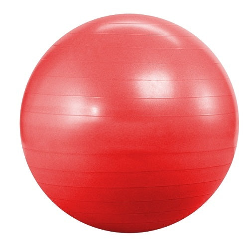 MORGAN GYM BALL - 55cm